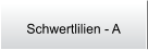 Schwertlilien - A