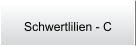 Schwertlilien - C