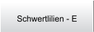 Schwertlilien - E