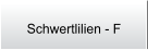 Schwertlilien - F