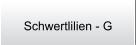 Schwertlilien - G