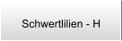 Schwertlilien - H