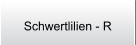 Schwertlilien - R
