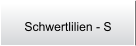 Schwertlilien - S