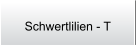Schwertlilien - T