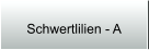 Schwertlilien - A