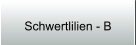Schwertlilien - B
