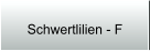 Schwertlilien - F