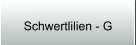 Schwertlilien - G