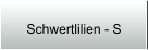 Schwertlilien - S