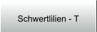 Schwertlilien - T