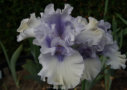 Heavenly Valley, Sutton 2006, Height 37”, Höhe 94 cm