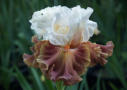 Strawberry Sorbet,  Sutton 2009, Height 37”, Höhe 94 cm