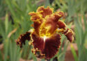 Volcanic Glow,  Keppel 2011, Height 36”, Höhe 91 cm