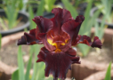 Almaden, Maryott 1990, Height 36”, Höhe 91 cm